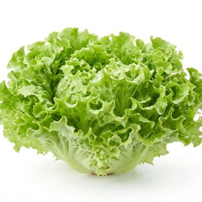 Lechuga Bativia